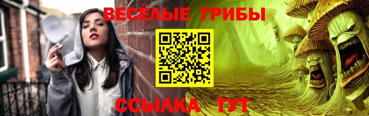 Кизляр  Галлюциногенные грибы Magic Shrooms  Вход с VPN  Галлюциногенные грибы Cubensis 